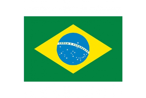 Brazil flag