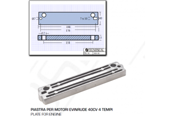 Plate for Evinrude 40HP 4 Stroke Engines