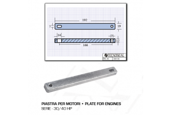 Plate for Motors 30 40 HP