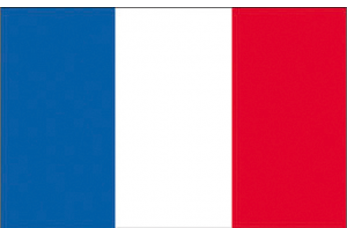 FRANCE FLAG 20X30 CM