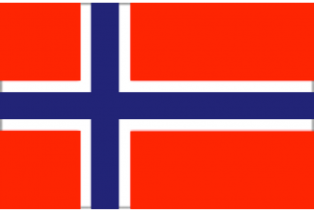 NORWAY FLAG 20X30 CM