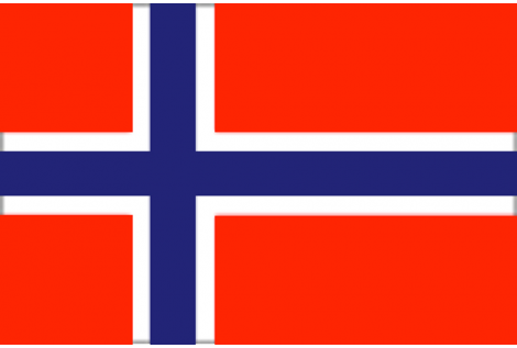 NORWAY FLAG 20X30 CM