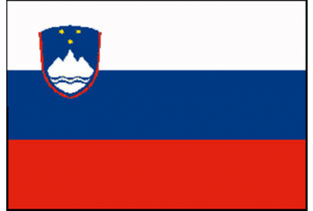 SLOVENIA FLAG 20X30 CM