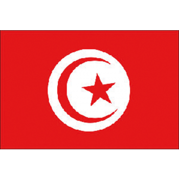 TUNISIA FLAG 20X30 CM