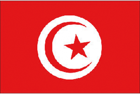 TUNISIA FLAG 20X30 CM