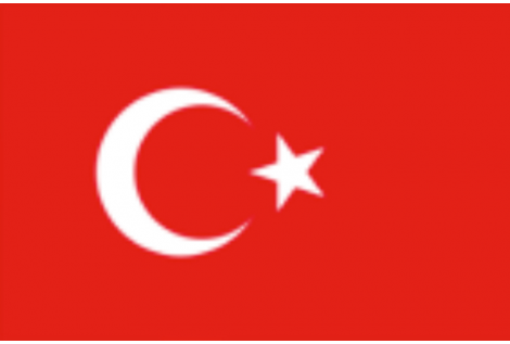 TURKEY FLAG 20X30 CM