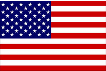 USA FLAG 20X30 CM