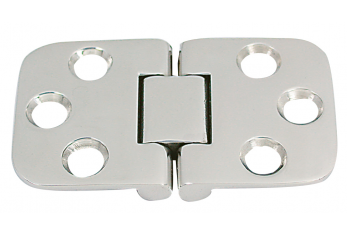 AISI 316 STAINLESS STEEL HINGE WITH STOP