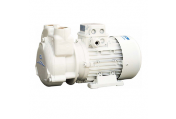 Gianneschi CP 30 electric pump