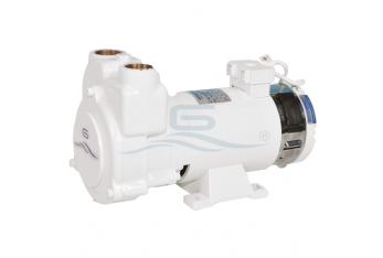 Gianneschi CP 40 electric pump