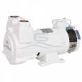 Gianneschi CP 40 electric pump