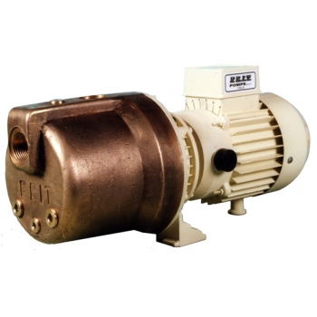 FEIT A99B Centrifugal Electric Pumps