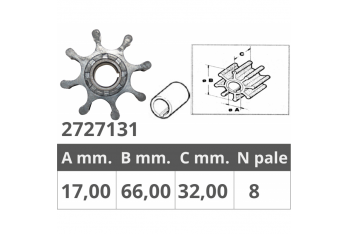 IMPELLER RENAULT 48300006/7