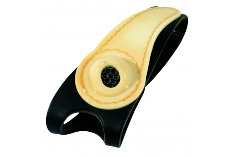 LOOK AT LEATHER PALM