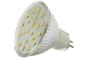 BULB 21 LED GZ4 11-30V