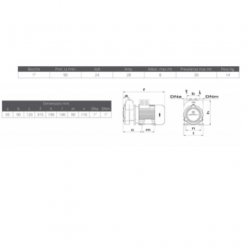 Gianneschi CP 30 pump