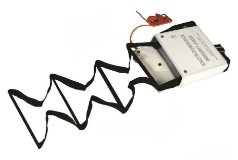 Pulpit safety ladder